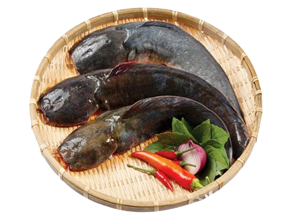 Một số món ăn từ cá trê bổ khí huyết bạn cần biết