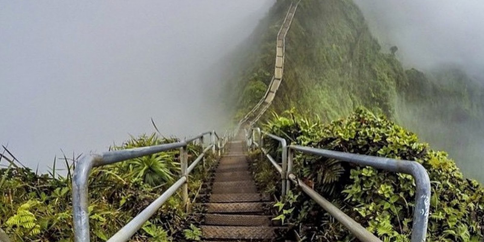 cầu thang Haiku – Hawaii